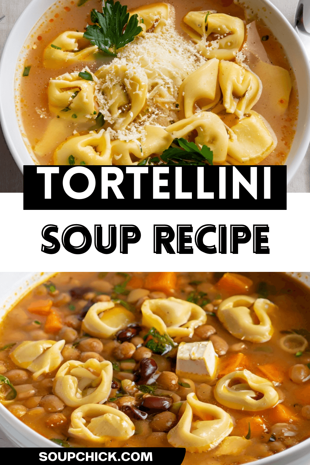 Chicken Noodle Soup - A Classic Recipe For Chilly Days - Soup Chick