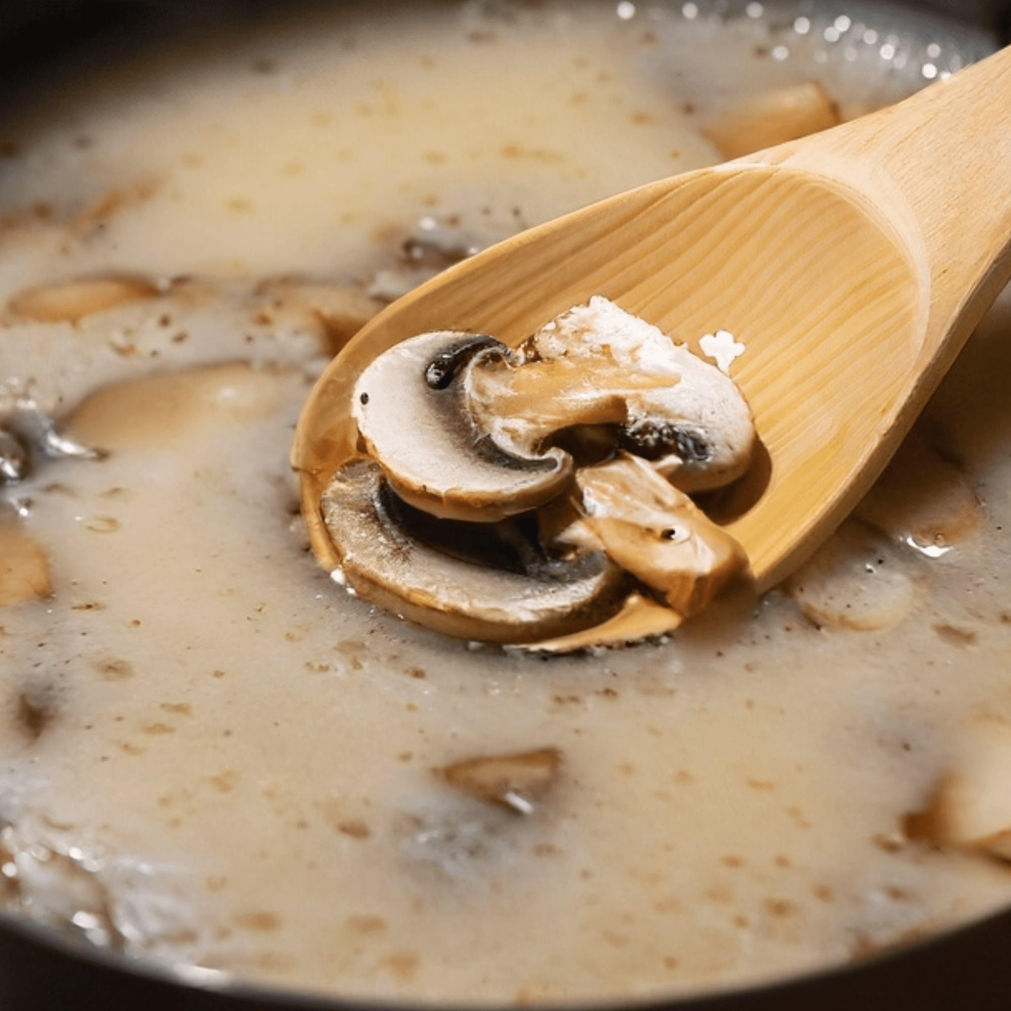 Mushroom Soup Without Cream Recipe: Light And Flavorful